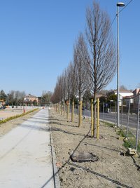 Nuovi appartamenti in costruzione Via calzolai Ferrara